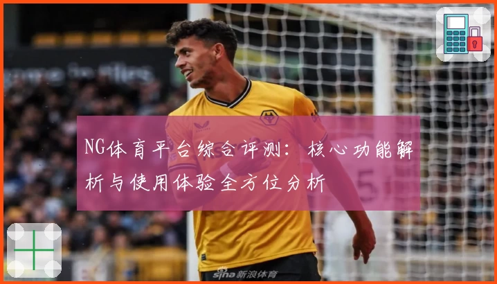 NG体育平台综合评测：核心功能解析与使用体验全方位分析